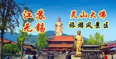91熟女母狗江苏无锡灵山大佛旅游风景区